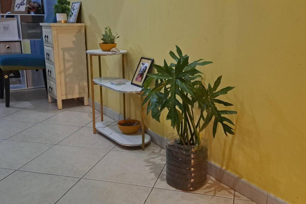 Mendes Family Homestay - B&B In The Heart Of Πράγια Εξωτερικό φωτογραφία