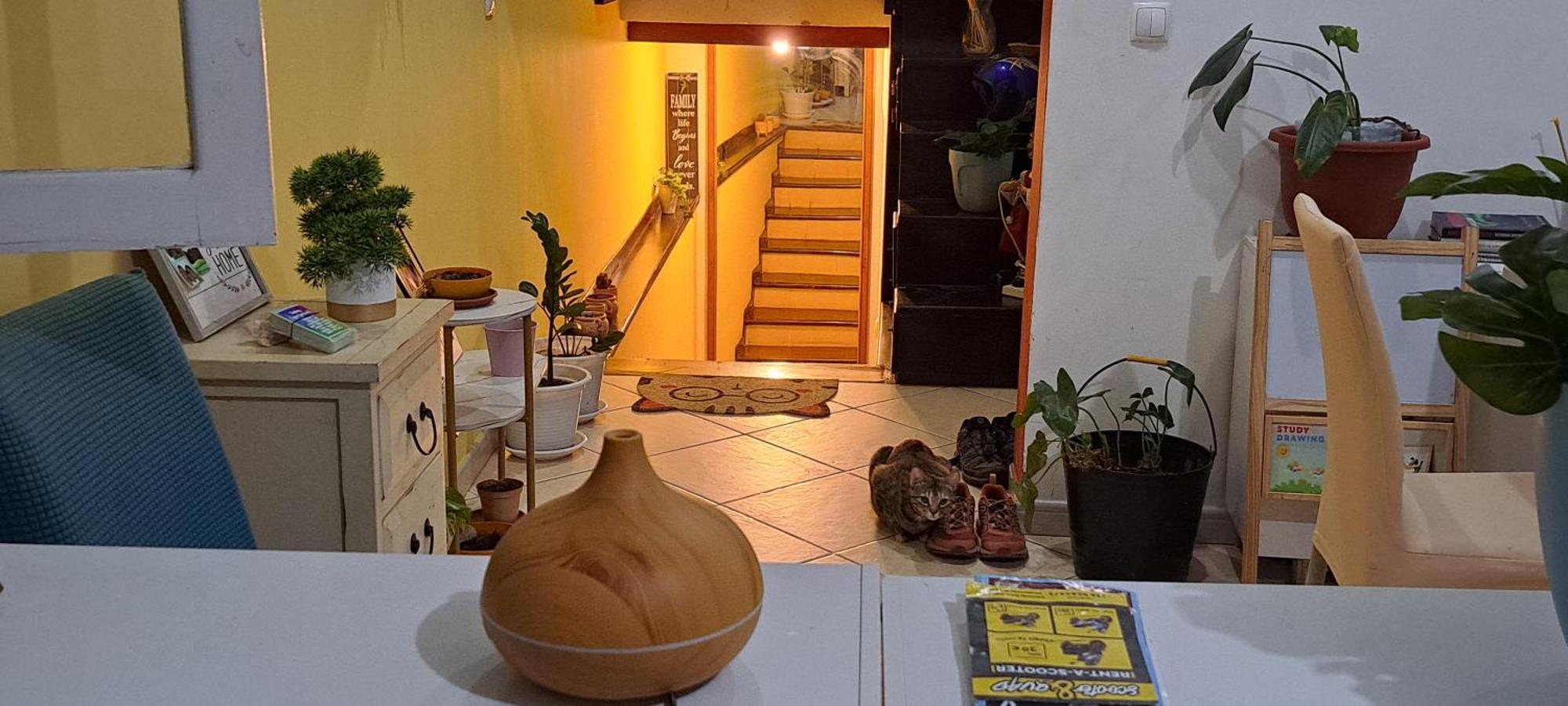 Mendes Family Homestay - B&B In The Heart Of Πράγια Εξωτερικό φωτογραφία